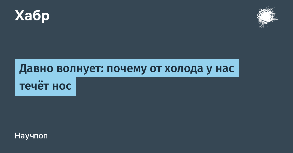 Волнующая почему о. Почему часто холодный нос у человека.